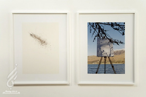 نقاشی هایی که درختان کشیدند